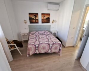 Cristalmar 35 bilde 11